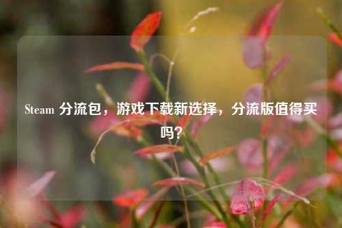 Steam 分流包，游戏下载新选择，分流版值得买吗？