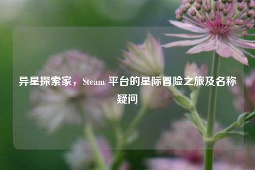 异星探索家,Steam 平台的星际冒险之旅及名称疑问