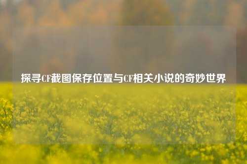探寻CF截图保存位置与CF相关小说的奇妙世界
