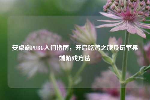安卓端PUBG入门指南，开启吃鸡之旅及玩苹果端游戏方法