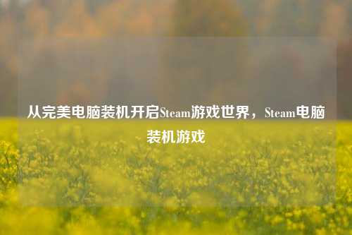从完美电脑装机开启Steam游戏世界，Steam电脑装机游戏