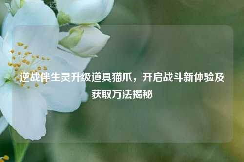 逆战伴生灵升级道具猫爪,开启战斗新体验及获取方法揭秘