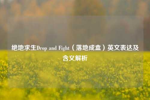 绝地求生Drop and Fight(落地成盒)英文表达及含义解析
