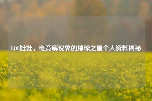 LOL娃娃，电竞解说界的璀璨之星个人资料揭秘