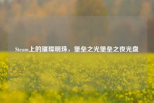 Steam上的璀璨明珠，堡垒之光堡垒之夜光盘