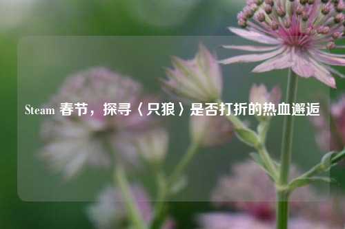 Steam 春节，探寻〈只狼〉是否打折的热血邂逅