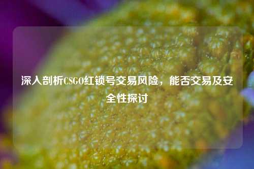 深入剖析CSGO红锁号交易风险,能否交易及安全性探讨