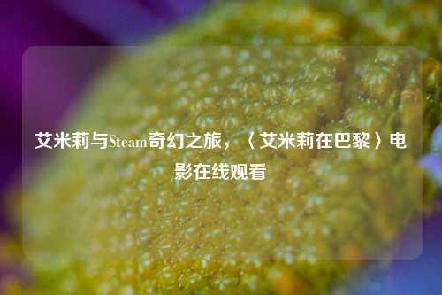 艾米莉与Steam奇幻之旅，〈艾米莉在巴黎〉电影在线观看