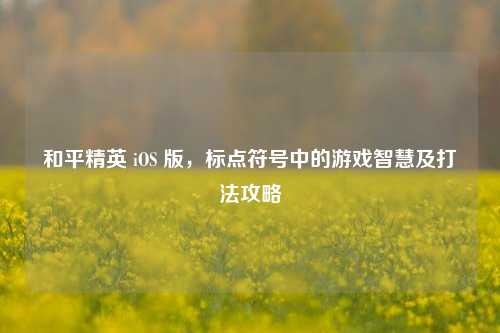 和平精英 iOS 版，标点符号中的游戏智慧及打法攻略