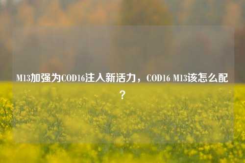 M13加强为COD16注入新活力，COD16 M13该怎么配？