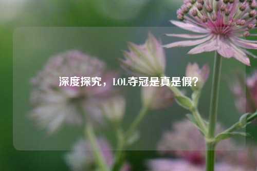 深度探究，LOL夺冠是真是假？