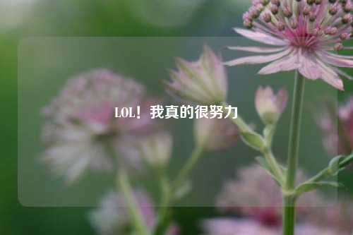 LOL!我真的很努力