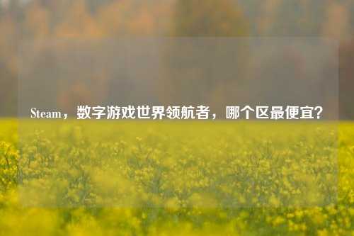Steam，数字游戏世界领航者，哪个区最便宜？
