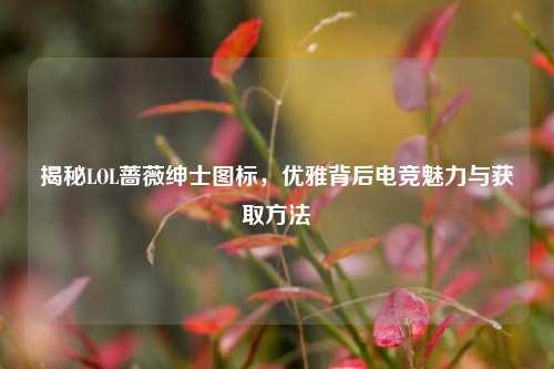 揭秘LOL蔷薇绅士图标，优雅背后电竞魅力与获取方法