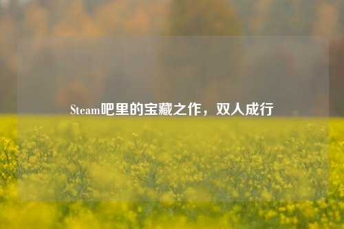 Steam吧里的宝藏之作，双人成行