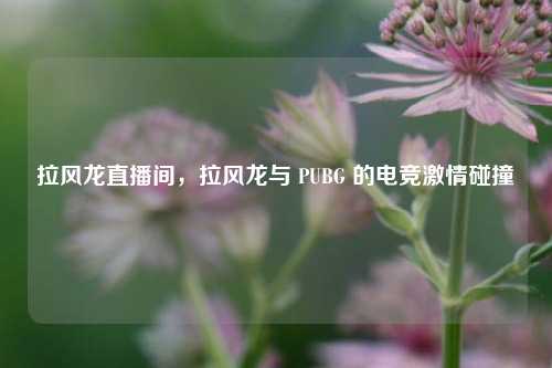 拉风龙直播间，拉风龙与 PUBG 的电竞激情碰撞