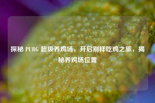 探秘 PUBG 超级养鸡场,开启别样吃鸡之旅,揭秘养鸡场位置