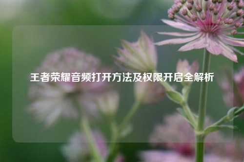 王者荣耀音频打开方法及权限开启全解析