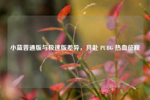 小蓝普通版与极速版差异，共赴 PUBG 热血征程