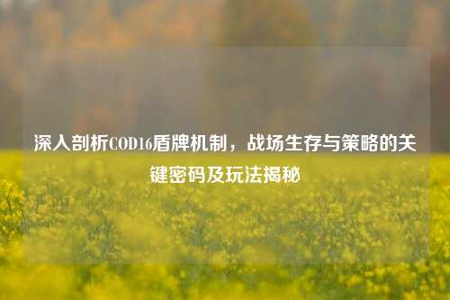 深入剖析COD16盾牌机制，战场生存与策略的关键密码及玩法揭秘