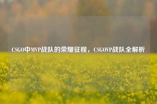 CSGO中MVP战队的荣耀征程，CSGOVP战队全解析