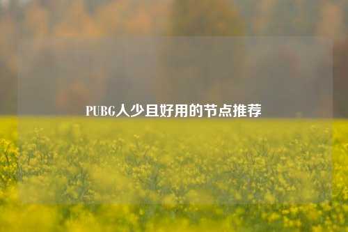 PUBG人少且好用的节点推荐