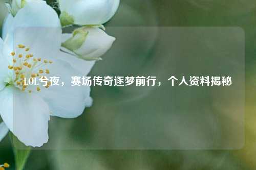 LOL兮夜，赛场传奇逐梦前行，个人资料揭秘
