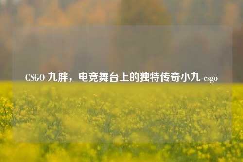 CSGO 九胖，电竞舞台上的独特传奇小九 csgo