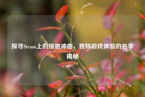 探寻Steam上的细胞神曲，独特游戏体验的名字揭秘