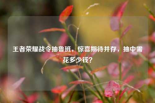 王者荣耀战令抽鲁班，惊喜期待并存，抽中需花多少钱？