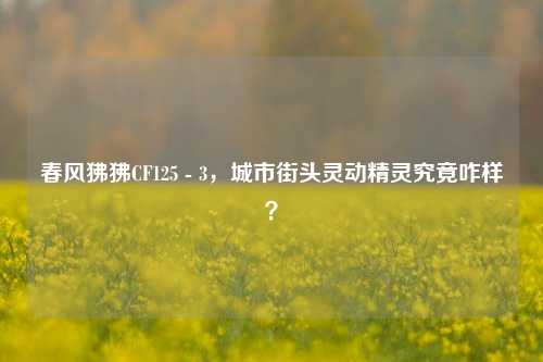 春风狒狒CF125 - 3，城市街头灵动精灵究竟咋样？