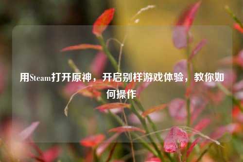 用Steam打开原神，开启别样游戏体验，教你如何操作