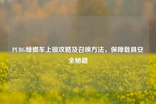 PUBG蟑螂车上锁攻略及召唤方法,保障载具安全秘籍