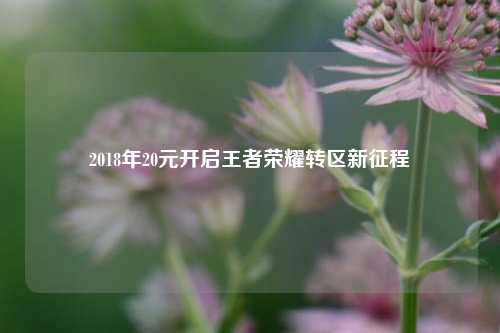 2018年20元开启王者荣耀转区新征程