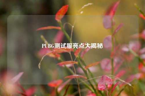 PUBG测试服亮点大揭秘