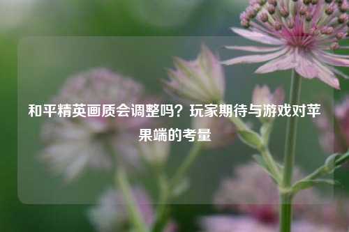 和平精英画质会调整吗？玩家期待与游戏对苹果端的考量