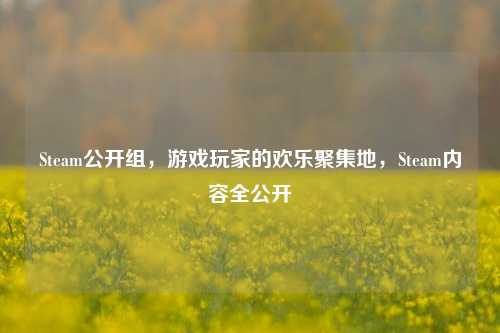 Steam公开组，游戏玩家的欢乐聚集地，Steam内容全公开