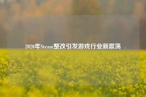 2020年Steam整改引发游戏行业新震荡