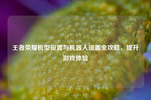 王者荣耀机型设置与机器人设置全攻略，提升游戏体验