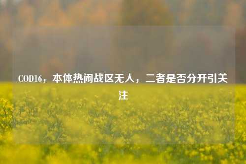 COD16，本体热闹战区无人，二者是否分开引关注