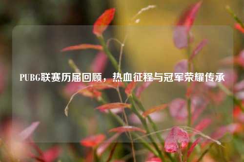 PUBG联赛历届回顾，热血征程与冠军荣耀传承