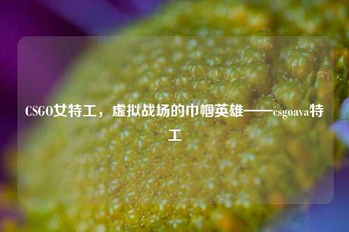 CSGO女特工，虚拟战场的巾帼英雄——csgoava特工