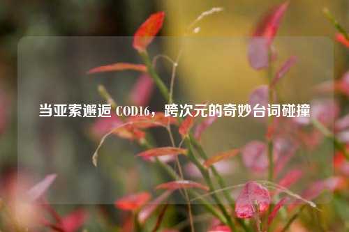 当亚索邂逅 COD16，跨次元的奇妙台词碰撞