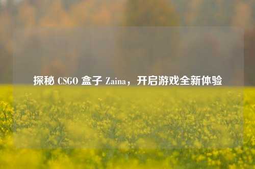 探秘 CSGO 盒子 Zaina，开启游戏全新体验
