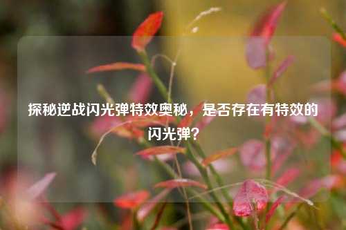 探秘逆战闪光弹特效奥秘，是否存在有特效的闪光弹？