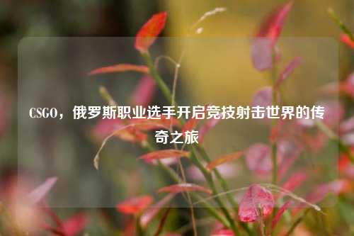 CSGO，俄罗斯职业选手开启竞技射击世界的传奇之旅