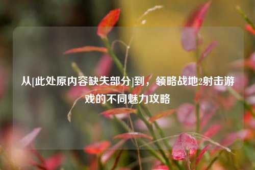 从[此处原内容缺失部分]到，领略战地2射击游戏的不同魅力攻略