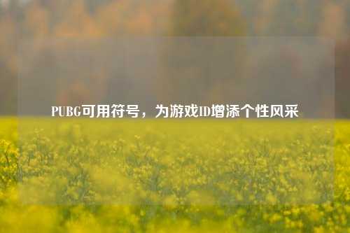 PUBG可用符号，为游戏ID增添个性风采