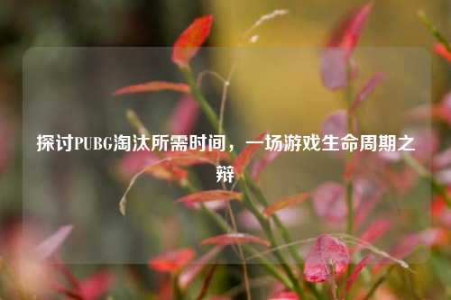 探讨PUBG淘汰所需时间，一场游戏生命周期之辩