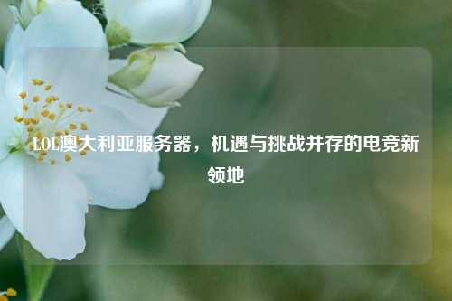 LOL澳大利亚服务器，机遇与挑战并存的电竞新领地